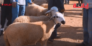 pp-300x150 صوت و صورة