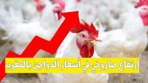 020320-300x168 صوت و صورة