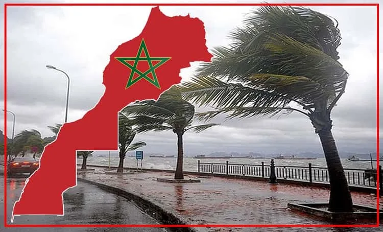 توقعات الطقس ليوم غد: برودة وصقيع ورياح قوية