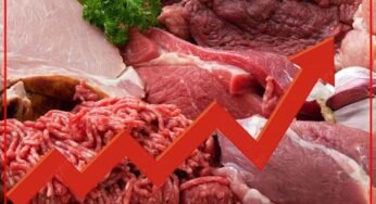  اللحوم الحمراء في المغرب .. الأسعار ترتفع والمواطنون يبتعدون!