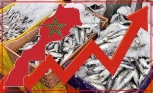 taman-sardin-300x182 الصفحة الرئيسية