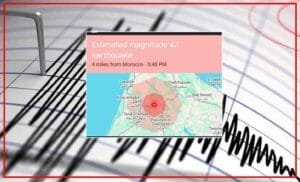 zilzal-300x182 الصفحة الرئيسية