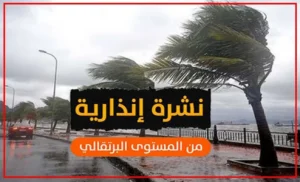 nach-bortokalta-300x182 الصفحة الرئيسية