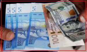 sarf-1-300x182 الصفحة الرئيسية