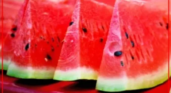 أونسا تكشف الحقيقة وراء البطيخ الأحمر.. هل أنت مستعد لمعرفة التفاصيل؟