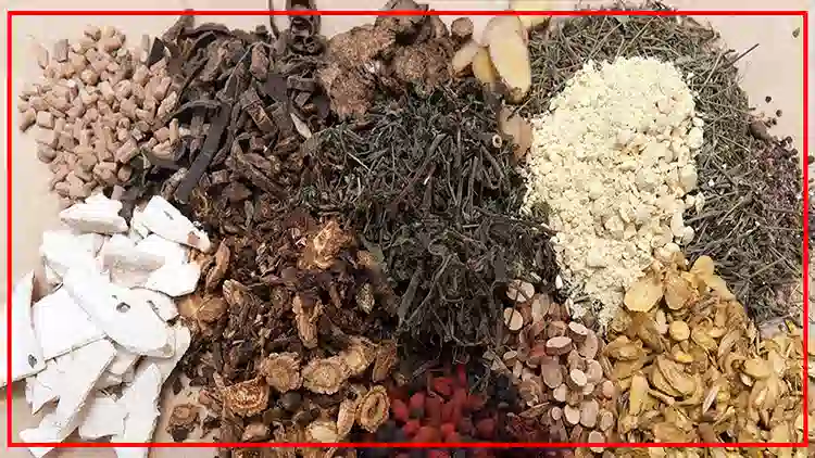 المركز العالمي للطب التقليدي: استثمار التراث لصحة أفضل للجميع 2 المركز العالمي للطب التقليدي: استثمار التراث لصحة أفضل للجميع