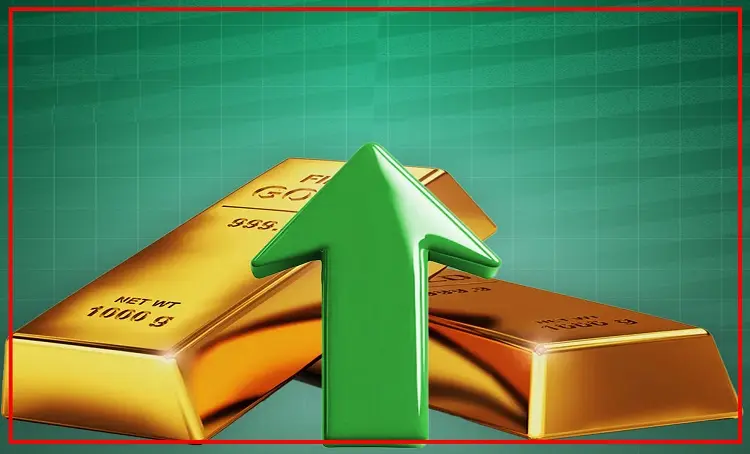 dahab الصفحة الرئيسية