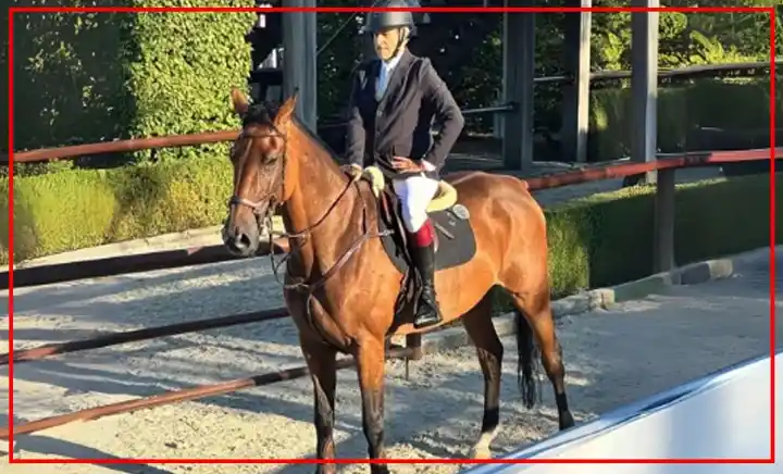 amir الصفحة الرئيسية